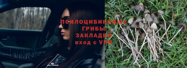 a pvp Аркадак