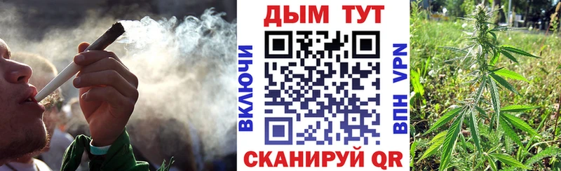 Купить где  Калининец  Шишки марихуана SATIVA & INDICA 